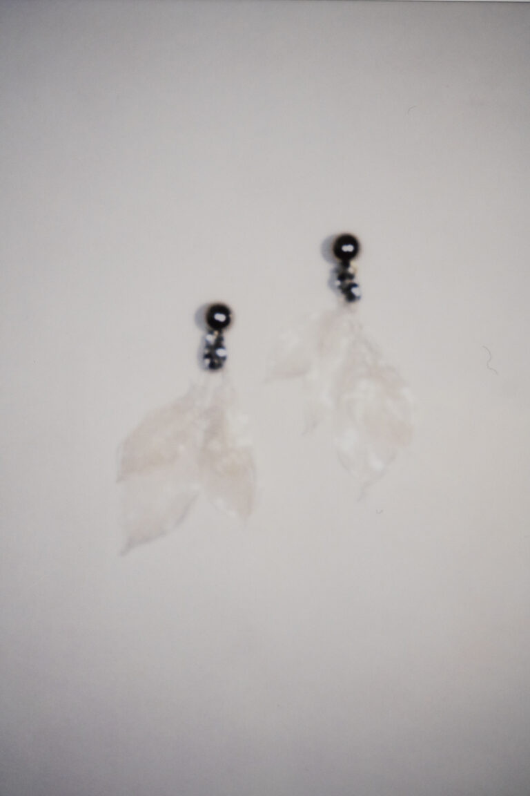 レンタルアクセサリー - clear real leaf earring by FUMIE TANAKA (1)