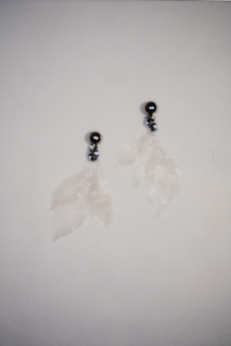 レンタルアクセサリー - clear real leaf earring by FUMIE TANAKA